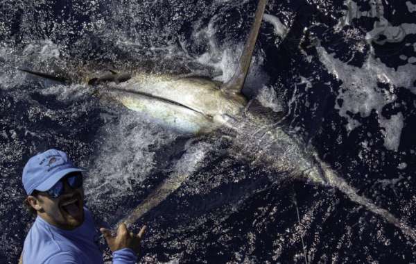 Cape Verde Fishing Charters | Miss Angela