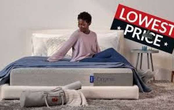 8 Sleep Promo Code vs Holiday Sales 2026: Which Is Better Value?