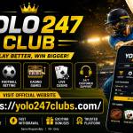 yolo247club001 Profile Picture