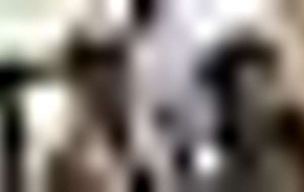 Article Picture