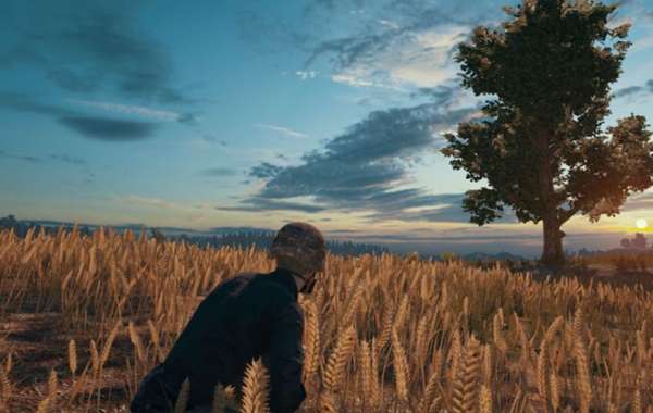 Article Picture