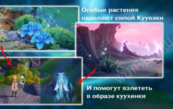 Article Picture