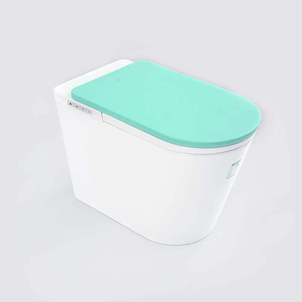 What Changes Inside a Smart Tankless Toilet?