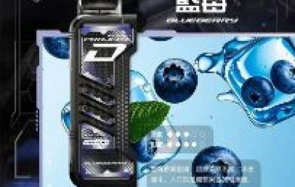 Zgar Project D冰熊卡帶主機體驗：比想像中更穩