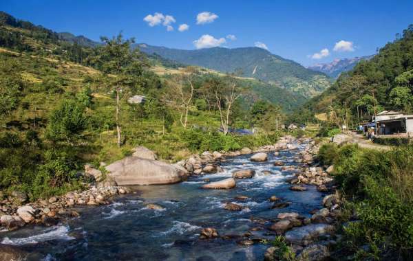 Why the Ghorepani Poonhill Environment is an Ultimate Secret for Trekkers Today